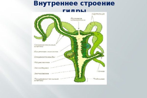 Kraken зеркало рабочее market