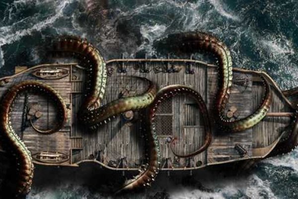 Kraken найдется все