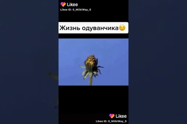 Кракен нет