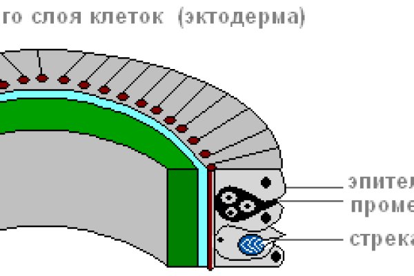 Кракен сайт ссылка kraken clear com