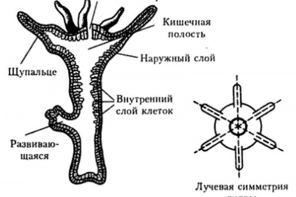 Кракен ссылка новая