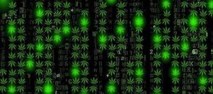 Kraken darknet market ссылка тор