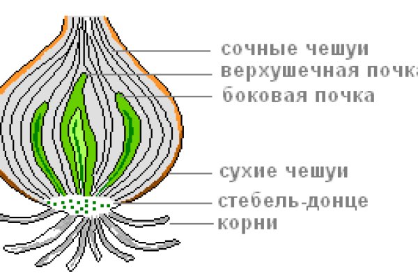 Кракен сайт зеркало рабочее